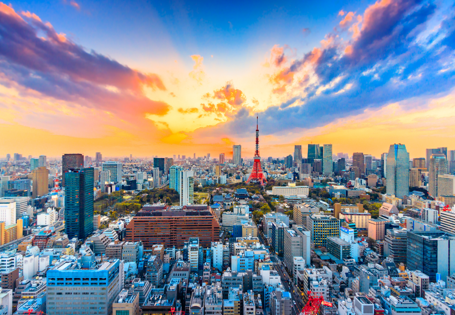 Japonya'da Dil Okulu